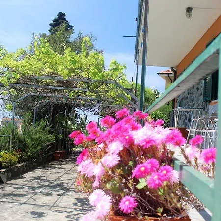 Διαμέρισμα In Mit Terrasse Und Garten Λεβάντο